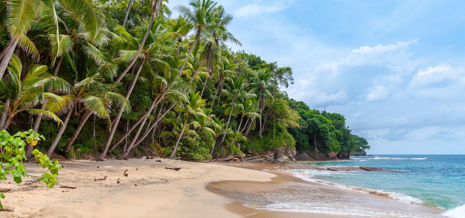 Palm fronds over bright blue Zanzibar bay and white beach